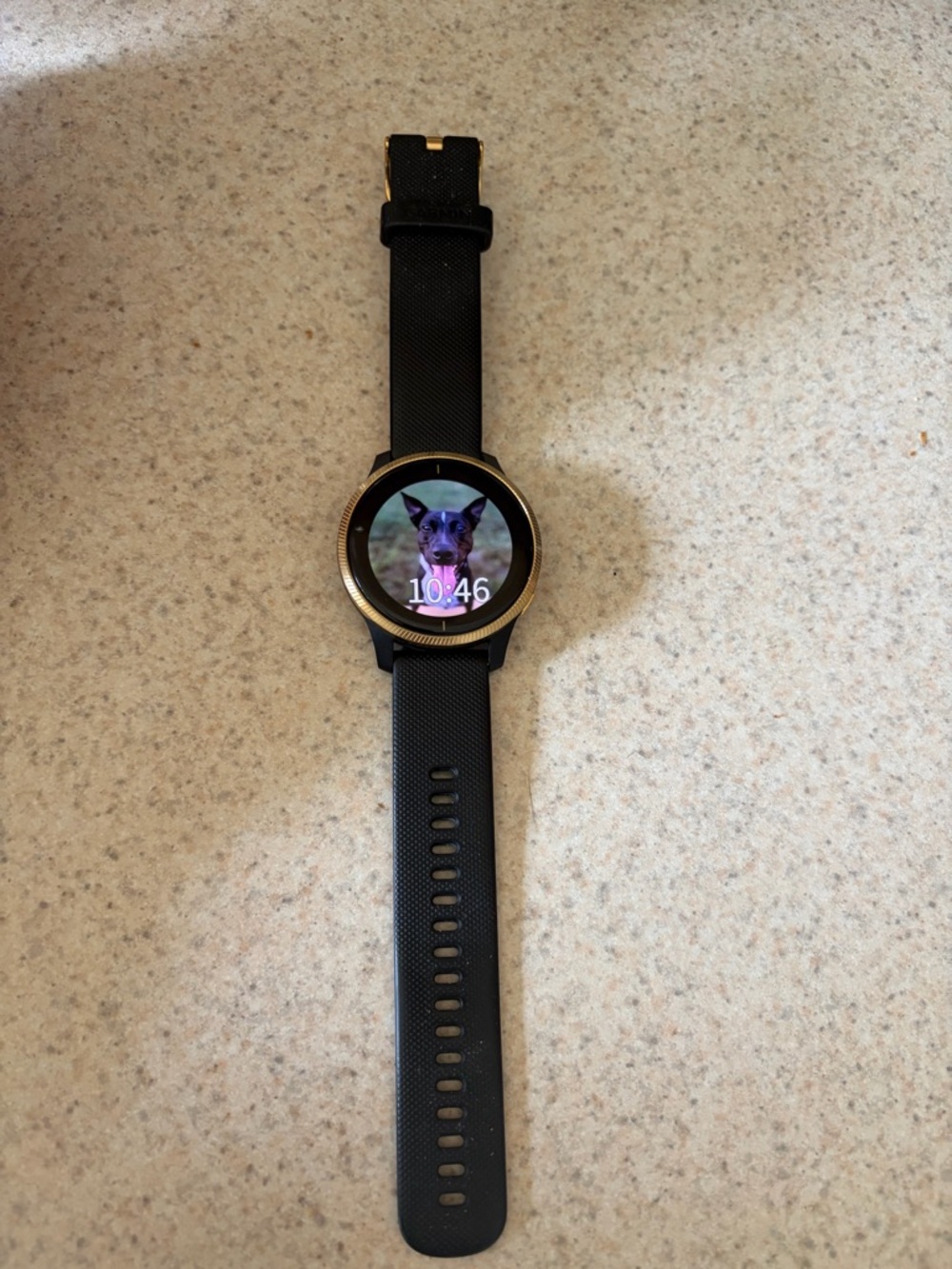 garmin Venu 2S Smartwatch - Black Strap with Gold Bezel